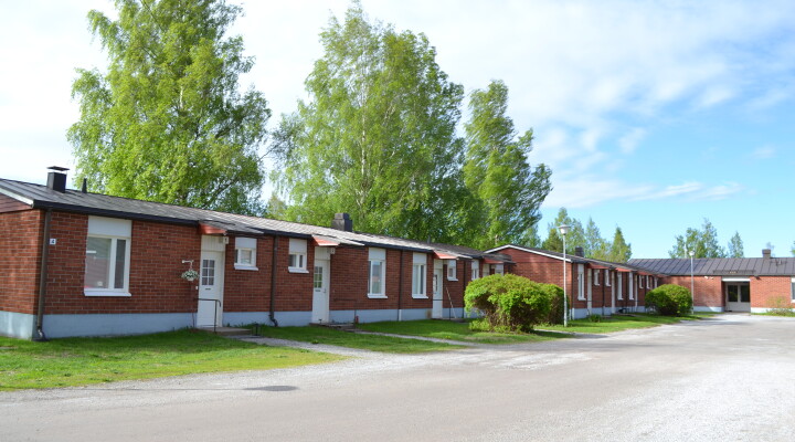 DSC 2754